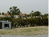 P4010435.JPG