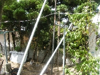 DSCF2172.JPG