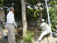 DSCF2178.JPG