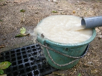 DSCF2198.JPG