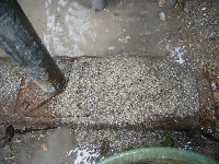 DSCF2212.JPG