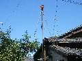 DSCF0512.JPG