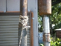 DSCF0511.JPG