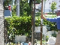 DSCF0516.JPG