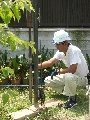 DSCF0764.JPG