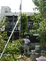 DSCF0779.JPG