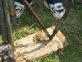 DSCF0831.JPG