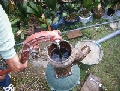 DSCF0897.JPG
