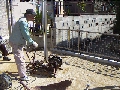 PICT0009.JPG