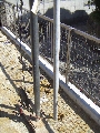 PICT0017.JPG