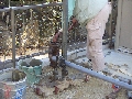 PICT0020.JPG